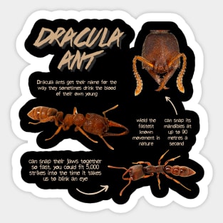 Dracula Ant Fun Facts Sticker